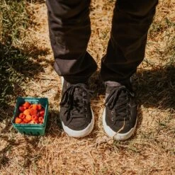 Men's X-Scape NBK Low Sneaker - Black/White - Regular (D) -Outlet EasyRoam Footwear Store mens x scape nbk low black white ls 1 800x 3a6d1a12 7fd3 4c79 ac9d 13c24d0fd9ec