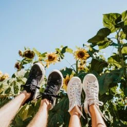 Men's X-Scape NBK Low Sneaker - Black/White - Regular (D) -Outlet EasyRoam Footwear Store mens x scape nbk low black white ls 2 800x 19e1401c ae96 4599 a957 64c89760f645